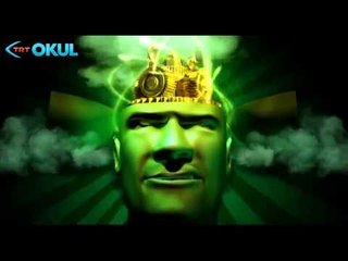 Beynin Sırları Fragman