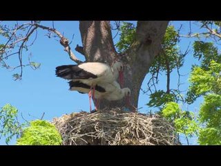 Doğaya Yolculuk - Fragman - TRT Okul