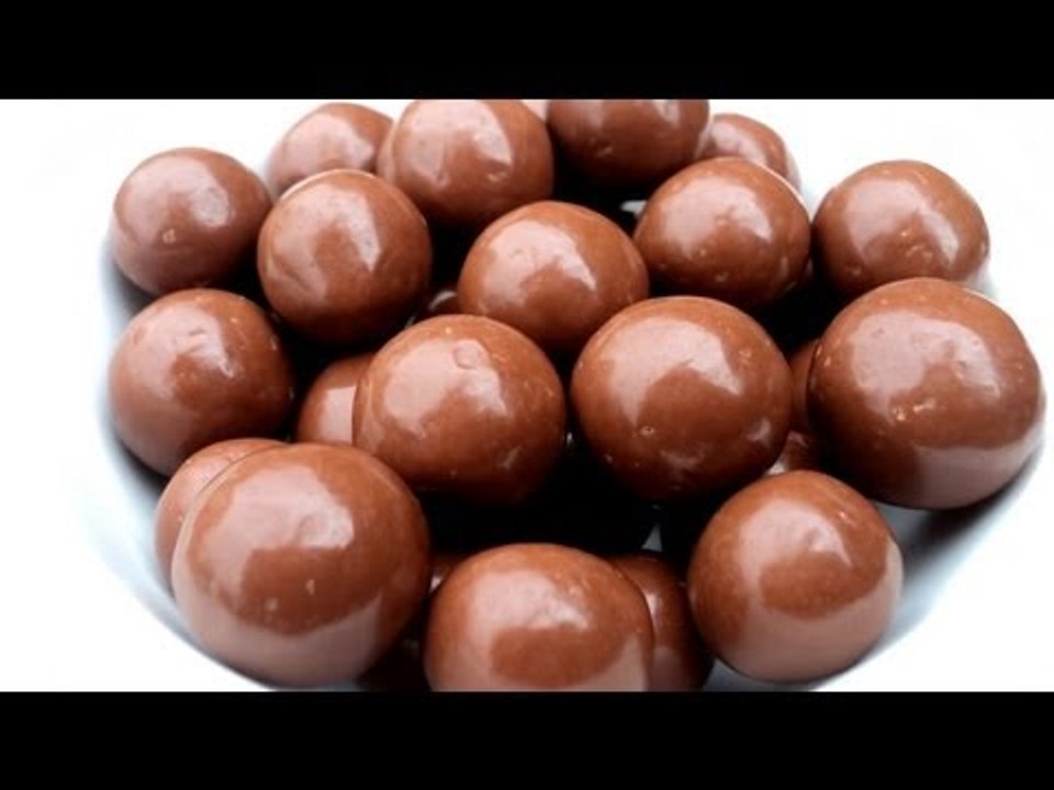 MALTESER'S SMOOTHIE