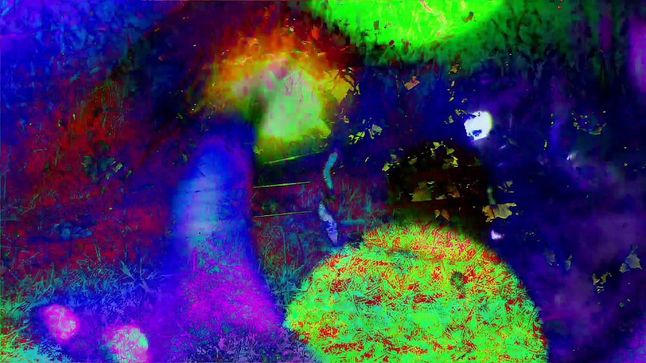 Irios - fluo