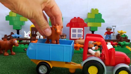 Çocuk şarkısı - Dedemin çiftliği var (Old MacDonald Had a Farm türkçe)