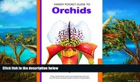 Deals in Books  Handy Pocket Guide to Orchids (Handy Pocket Guides)  READ PDF Online Ebooks
