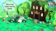 LITTLE TOYS PLANET - NEW Video for Children | Krokids Toys Adventure WONDER FOREST #1