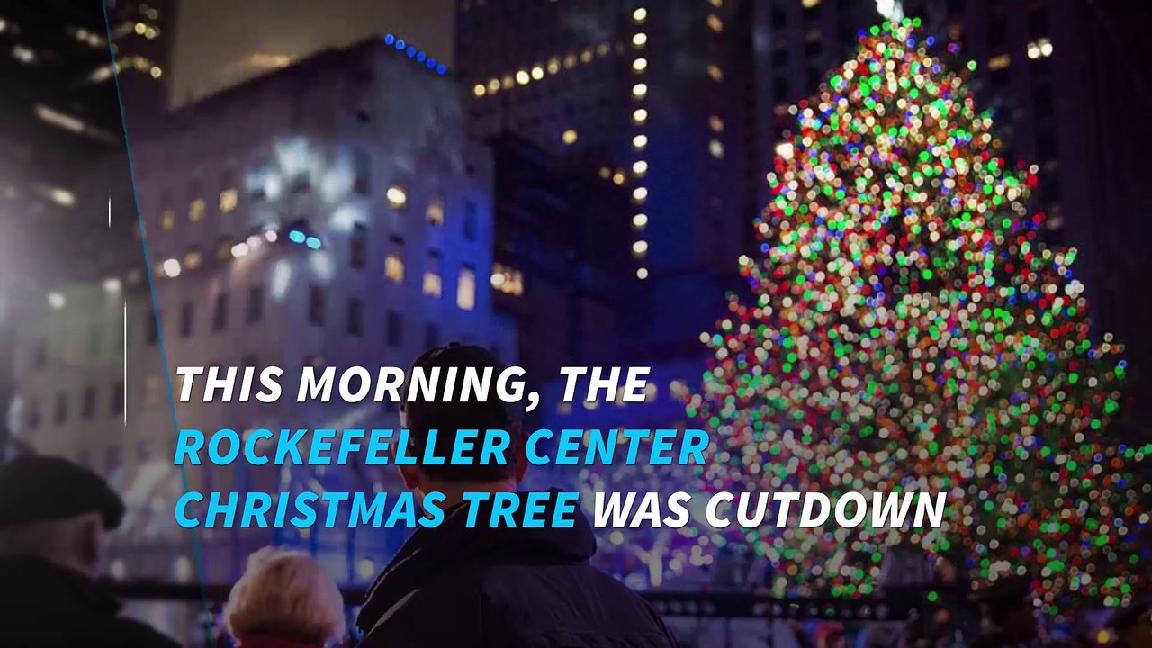 The Rockefeller Center Christmas tree is on its way to NYC