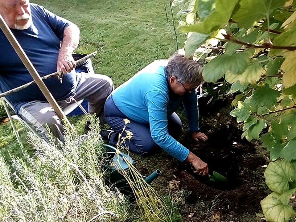 Jardinage