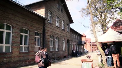 Tickling Experiment With Rats