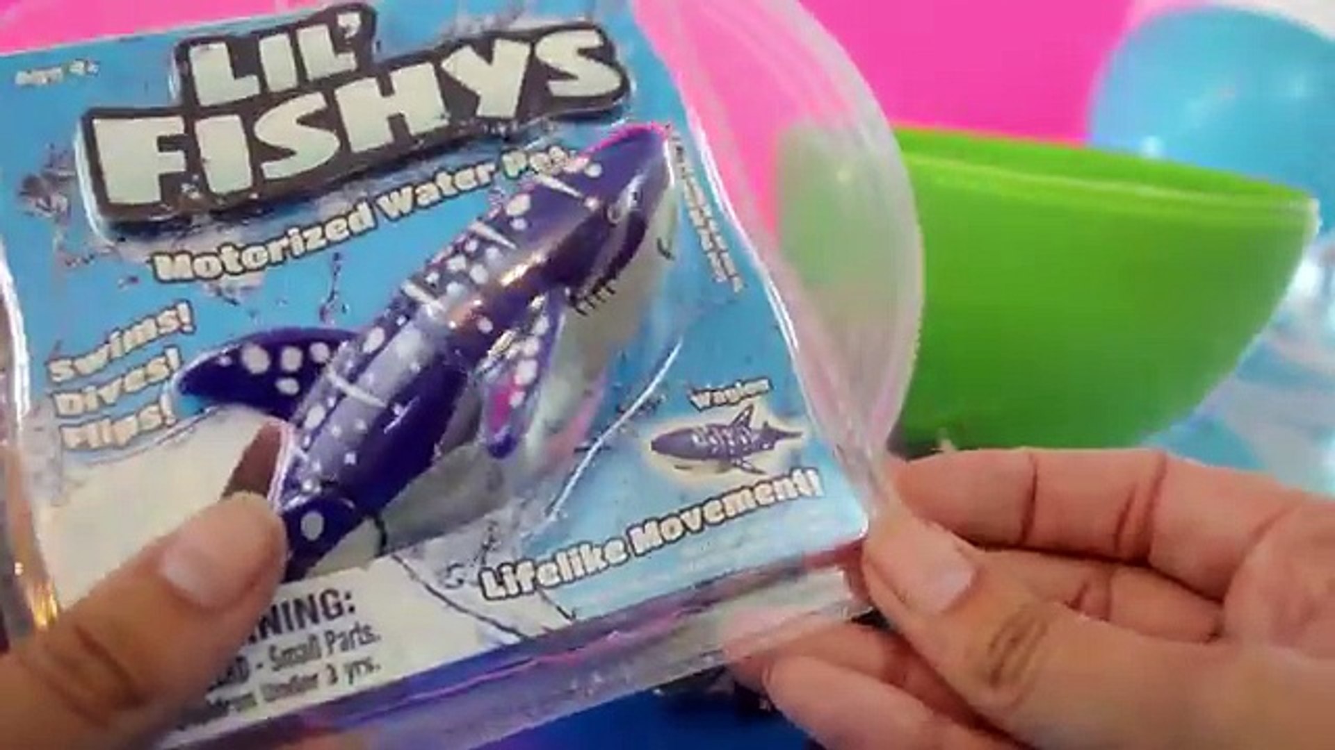 lil fishys shark