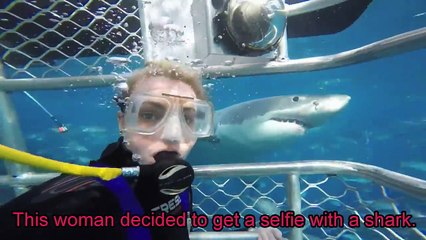 Women Takes Selfies with Great White Shark