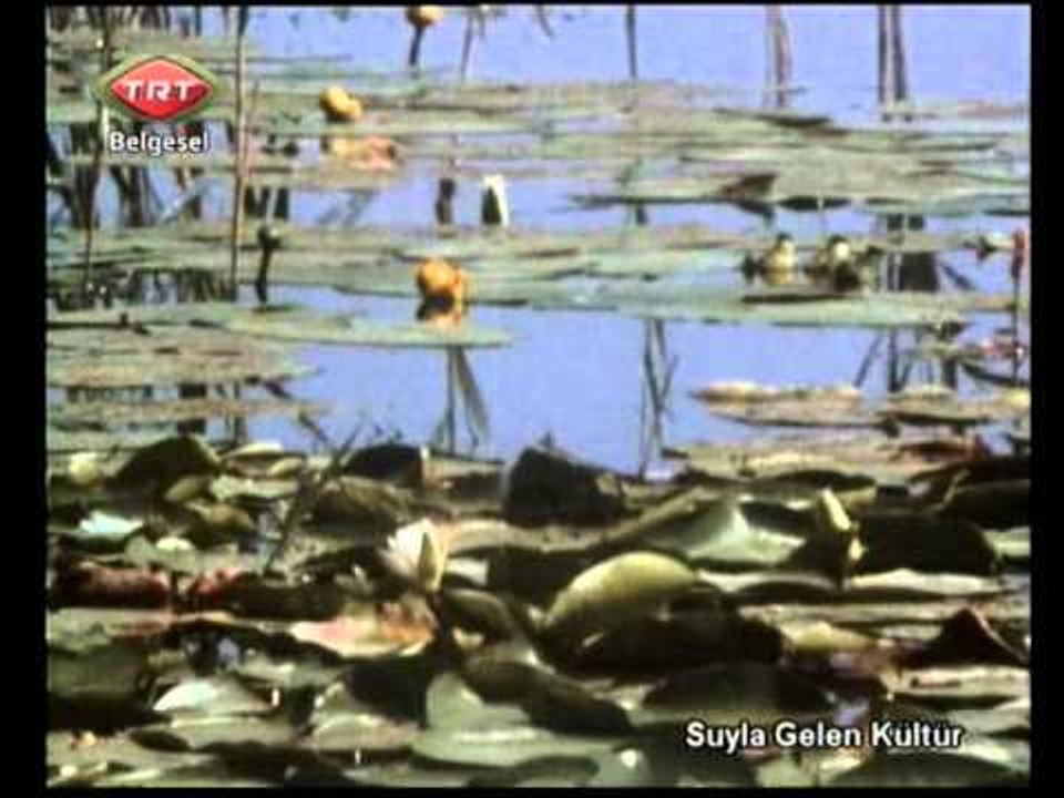 Suyla Gelen Kültür 6