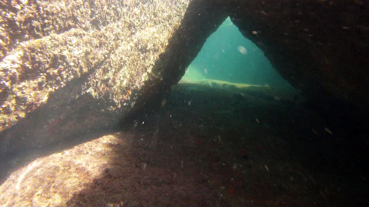 Apneia, mergulho contemplativo, Ubatuba, SP, Brasil, Marcelo Ambrogi, ILha do Prumirim, Litoral Norte, Ilhas e mares,