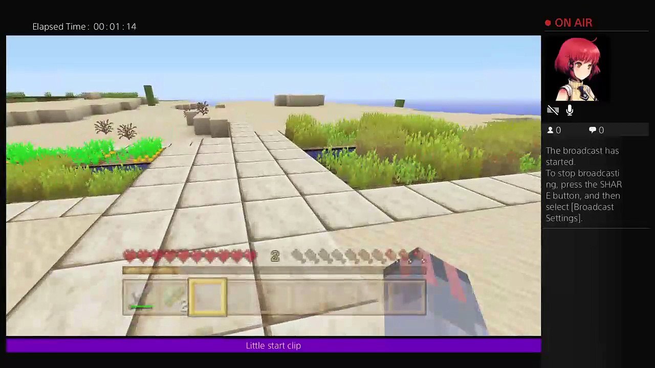 MissD_Raven's Live (27)