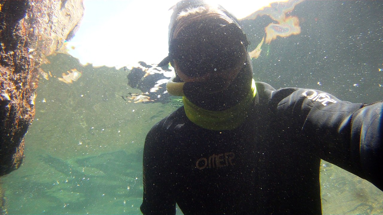 Apneia, mergulho contemplativo, Ubatuba, SP, Brasil, Marcelo Ambrogi, ILha do Prumirim, Litoral Norte, Ilhas e mares,