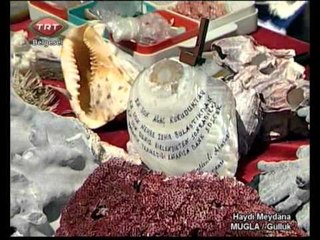 Haydi Meydana Güllük 16.06.2012