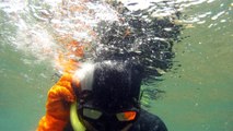 Apneia, mergulho contemplativo, Ubatuba, SP, Brasil, Marcelo Ambrogi, ILha do Prumirim, Litoral Norte, Ilhas e mares,