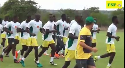 Entrainement des lions