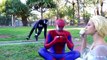 Spiderman vs Venom vs Frozen Elsa Elsa Kidnapped Real Life Superheroes Movie