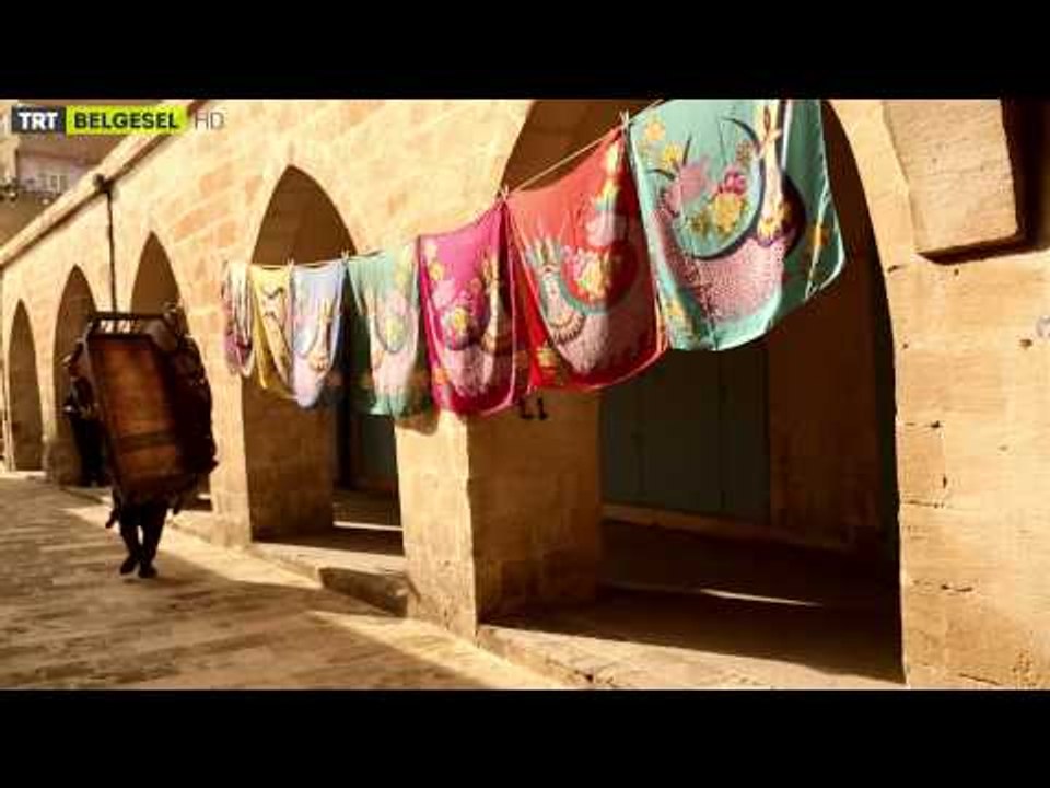 Başka Hayatlar - 2 . Bölüm Fragman | TRT Belgesel