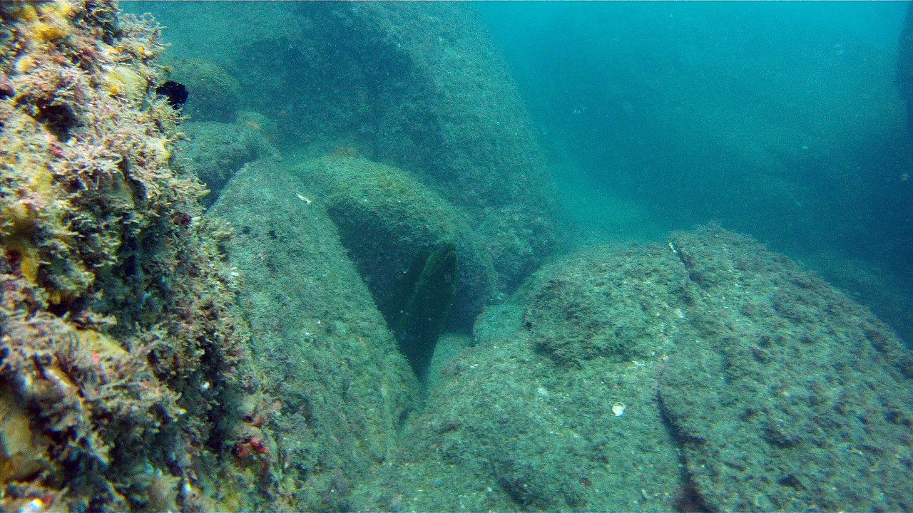 Apneia, mergulho contemplativo, Ubatuba, SP, Brasil, Marcelo Ambrogi, ILha do Prumirim, Litoral Norte, Ilhas e mares,