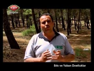Sıkı ve Yaban Dostluklar 1
