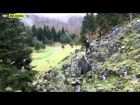 Kılavuz - Genel Fragman 2 | TRT Belgesel