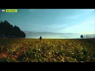 Savaşın Öteki Tarafı - Lübnan Fragman | TRT Belgesel