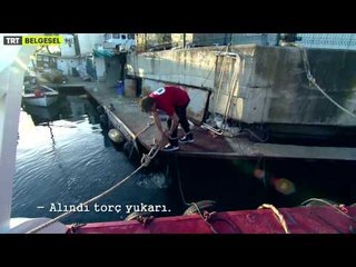 Ekmek Parası - 1. Bölüm Sanayi Dalgıçları | TRT Belgesel