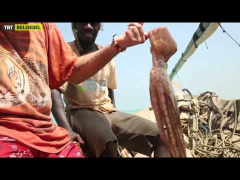 Yabancı Hayatı Keşfet - 13. Bölüm - TRT Belgesel