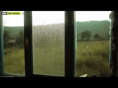 Bi Çiftlik - 1. Bölüm Çanakkale Fragman | TRT Belgesel