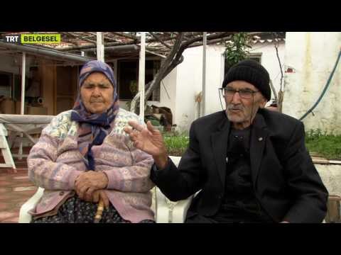 Kuş Dili Karınca Kelamı - Fragman - TRT Belgesel