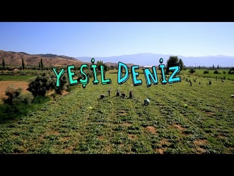 67. Bölüm Kamera Arkası #YeşilDeniz