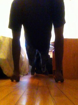 BBOY Capcom Jour 21 21/22 Push up Défi Challenge