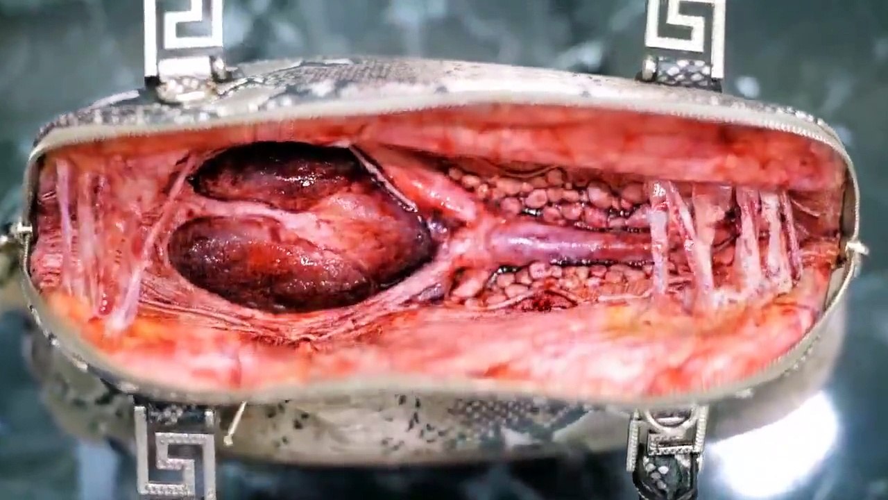 Ancak bu kadar güzel anlatılabilirdi..