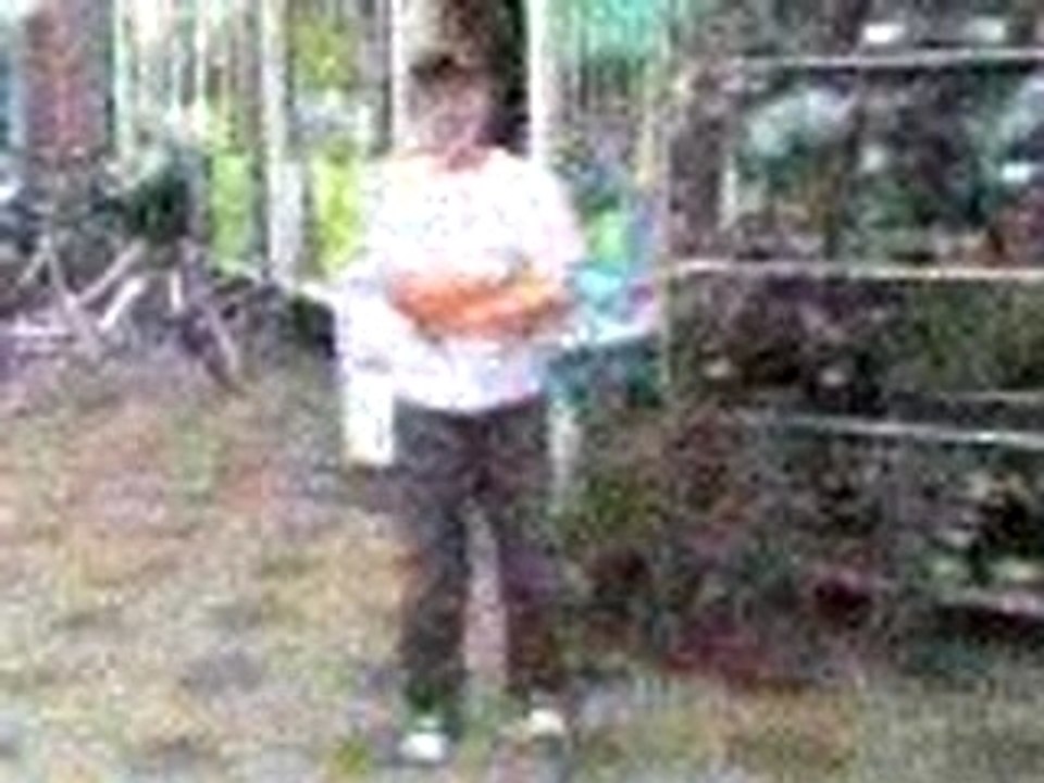 Video 0016