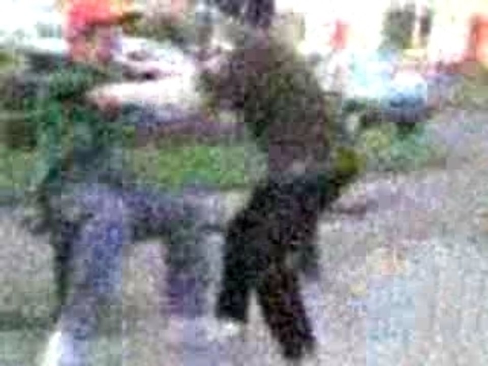 Video 0024
