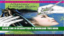 Best Seller A Colorful Introduction to the Anatomy of the Human Brain: A Brain and Psychology