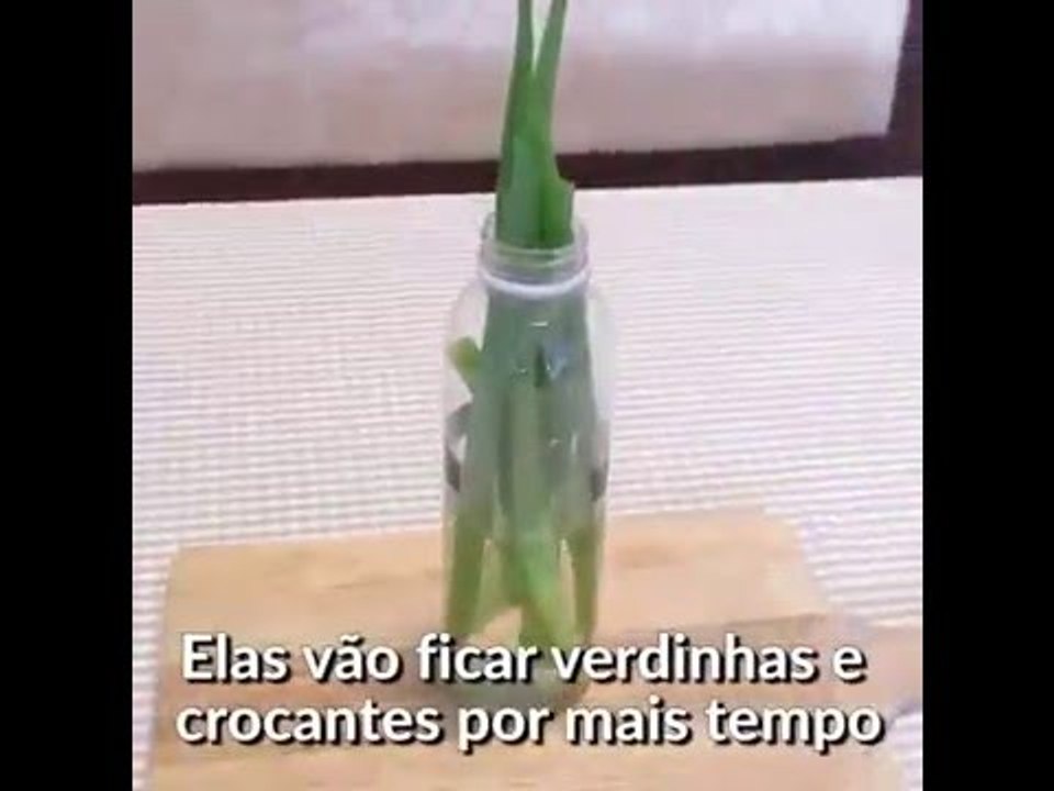 Como conservar cebolinha verde por mais tempo