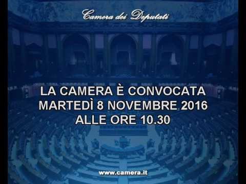 Roma - Camera - 17^ Legislatura - 703^ seduta -1- (08..11.16)