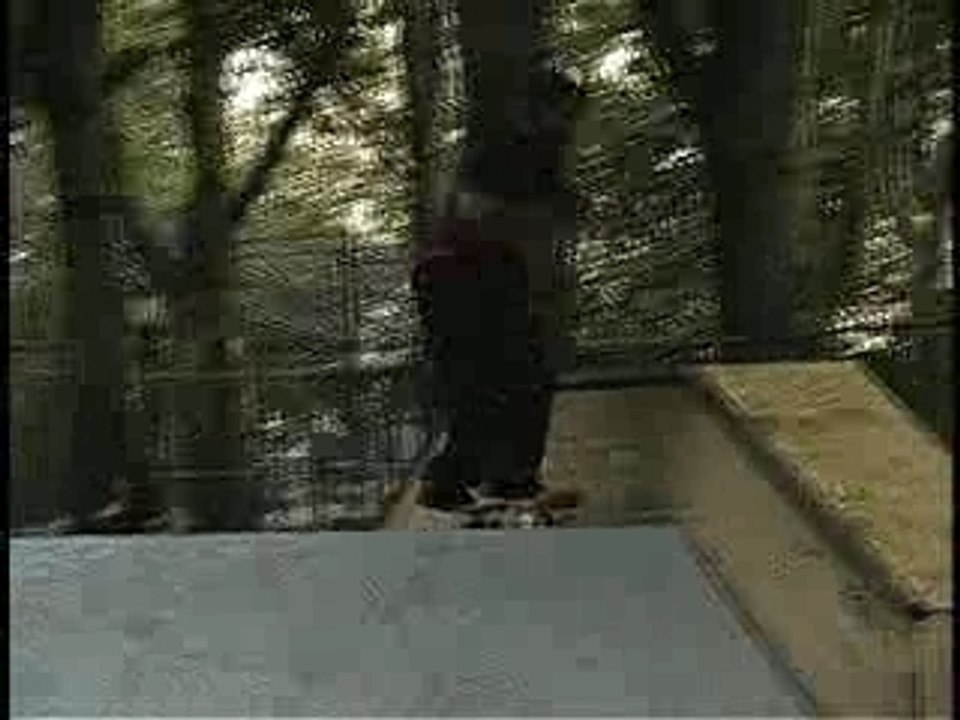 Globe Rodney Mullen