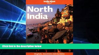 Must Have  Lonely Planet North India  Buy Now