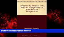 Read books  Africans in Brazil a Pan African Perspective: A Pan-African Perspective online to buy