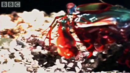 Fastest Things of All time !!!!!!!!!!!!!!!!!!!!!!!!!!!!!!!!!!!!!!!!!!!!!!!!!!!!!!!