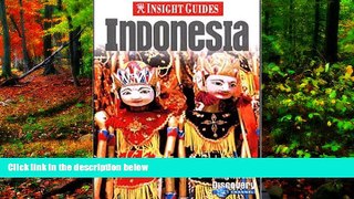 Big Deals  Insight Guide Indonesia, Fifth Edition  Best Seller PDF