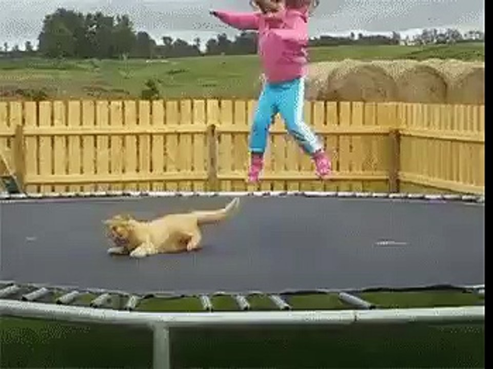 funny 101