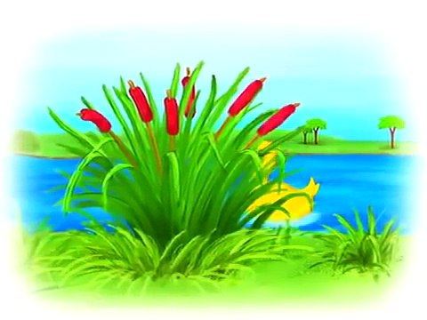 Tiny Love Развивающий мультфильм для детей от 6 месяцев - 2 года Tiny Love developing cartoon