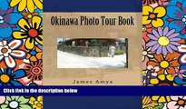 Must Have  Okinawa Photo Tour Book  Full Ebook