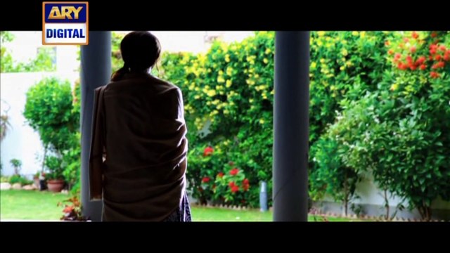 Baykhudi - Starting From 17th November 2016 - ARY Digital