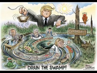 Draining the WHOLE swamp