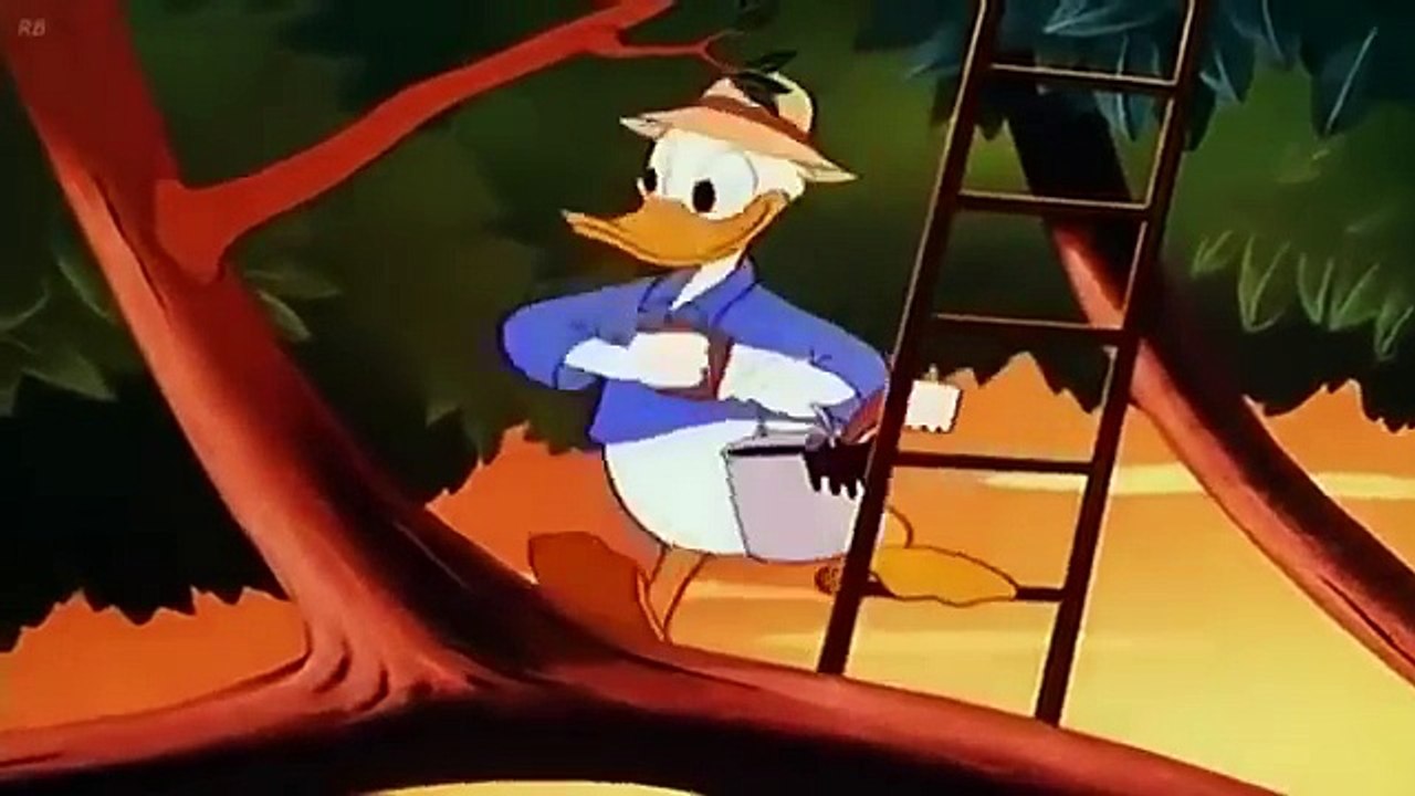 El Pato Donald español latino Chip y Dale en español capitulos completos