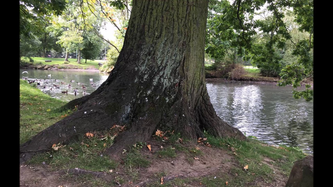 The Spirit of North England Folge 01 /Full Film/Complete Movie/Ganzer Film