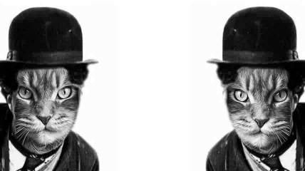 Hodge podge VIII Morphing